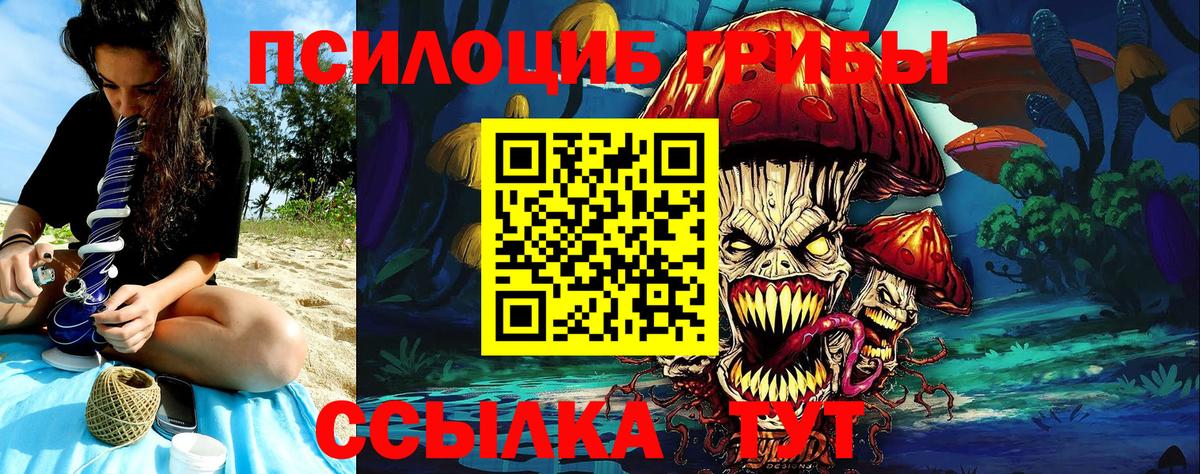 Еманжелинск  Псилоцибиновые грибы Psilocybine cubensis  купить закладку  Вход с VPN 